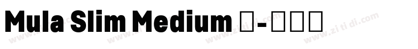 Mula Slim Medium 中字体转换